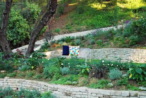 Great Looking Yard Solutions - What to Plant on My Slope ...